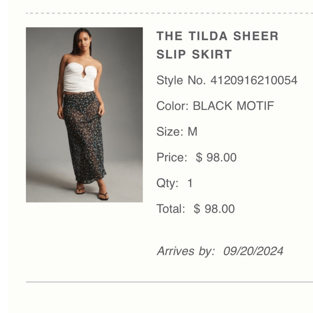 Anthropologie Tilda Sheer Slip Skirt - Black Motif